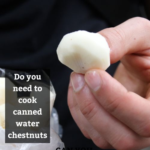 Do you need to cook canned water chestnuts