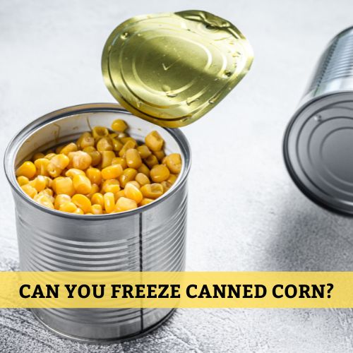 can you freeze canned corn