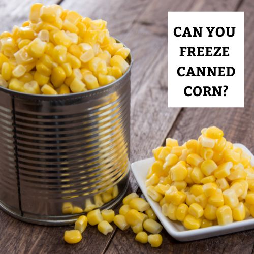 Can You Freeze Canned Corn? All You Need To Know!